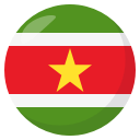 🇸🇷