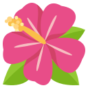 🌺