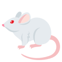 🐁