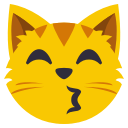 😽